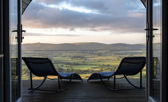 Alpacas Rest, Wales